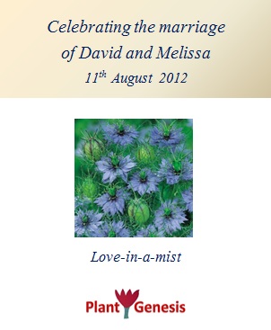 Wedding Favour Seeds / Love In A Mist / Seeds