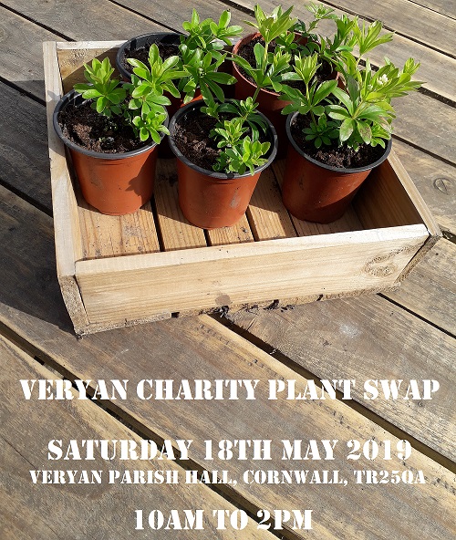 Veryan Charity Plant Swap 18 May 2019